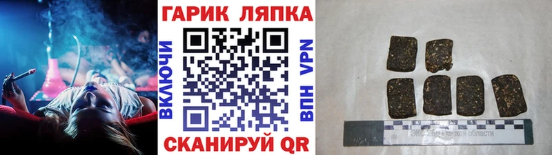 ГАШ Premium  Короча 
