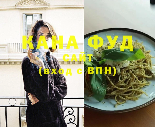 молекула духа Богданович