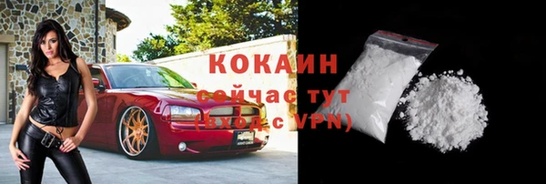 мдпв Сясьстрой