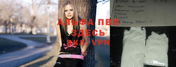 шишки Белоозёрский