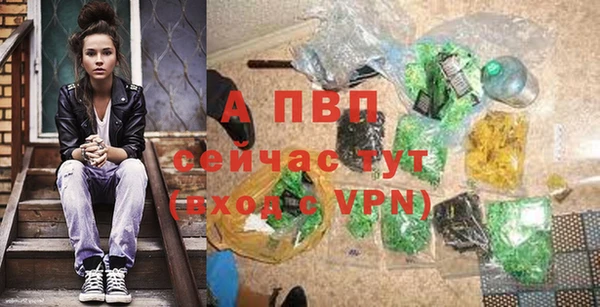 сатива Богородицк