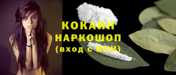 индика Белокуриха