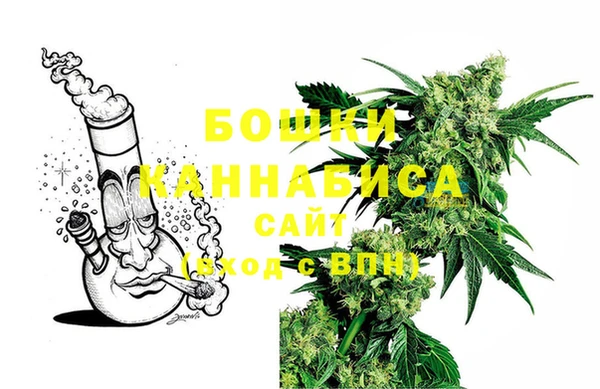 индика Белокуриха