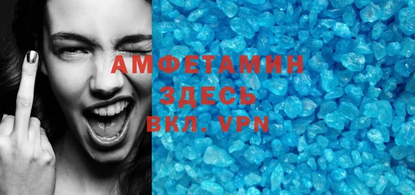 молекула духа Богданович