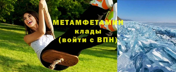 молекула духа Богданович
