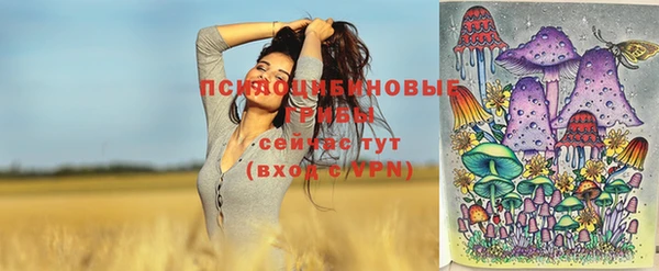 таблы Богородск
