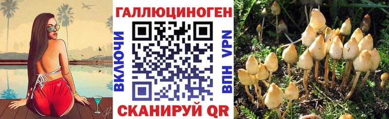 Псилоцибиновые грибы Psilocybine cubensis  Короча 